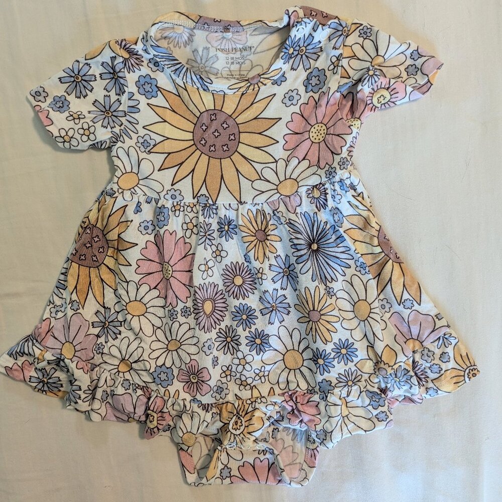 Posh Peanut Dress baby girl 12m